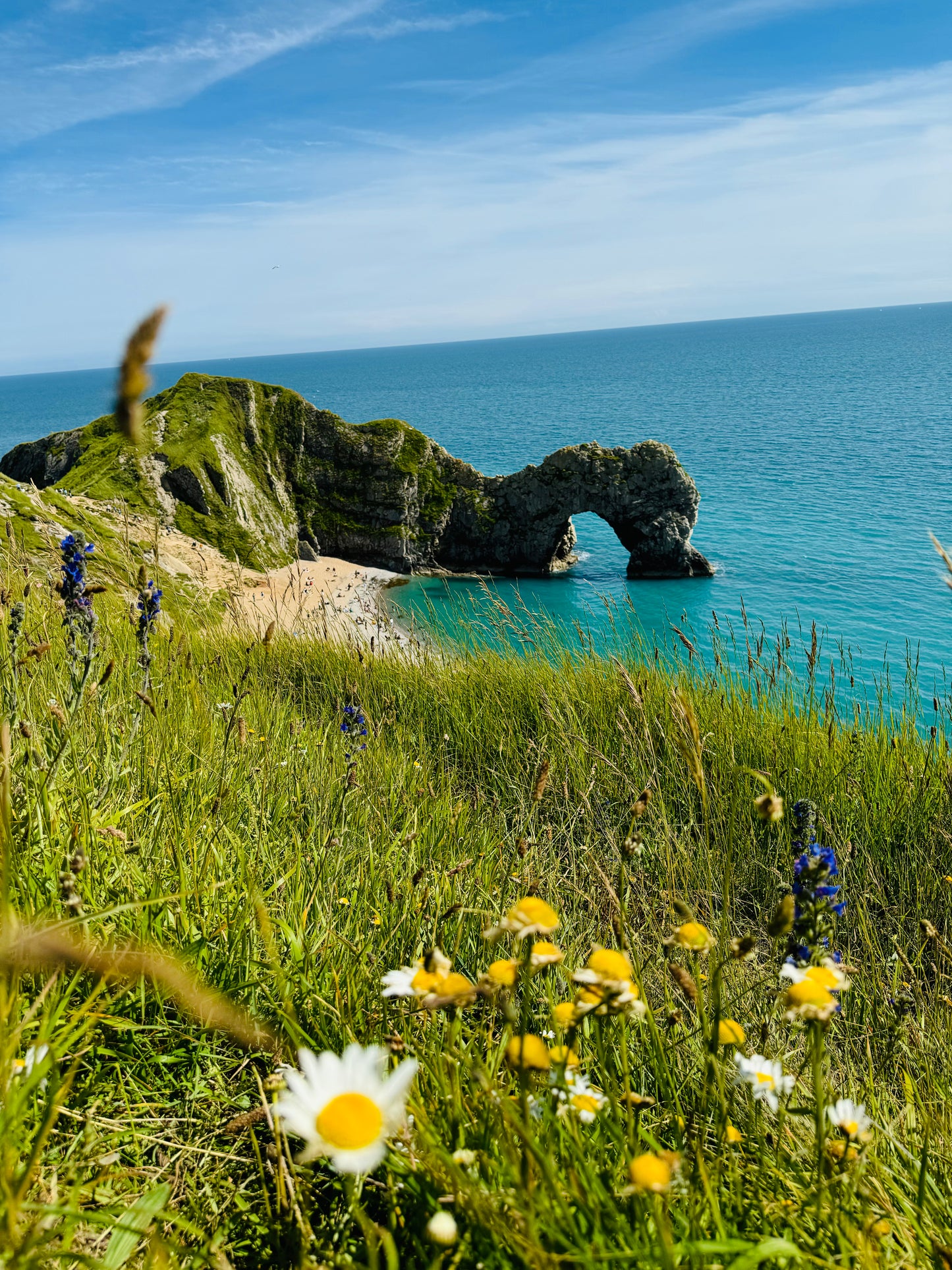 Day Trip Adventure - Durdle Door